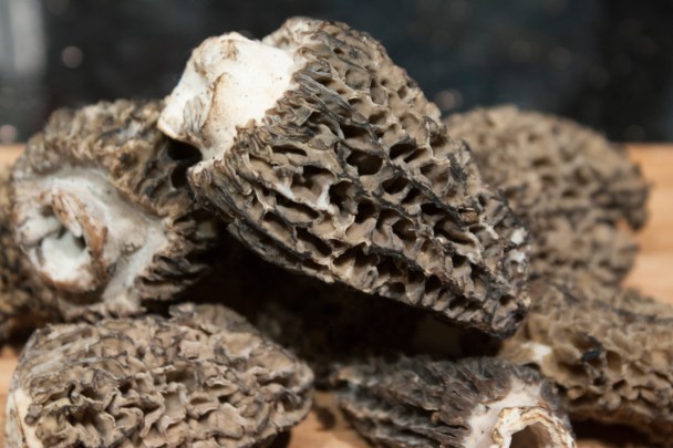 20140605_Chicken with Morels_IMG_7565_edited-1