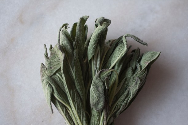 20140627_Penne with Asparagus, Sage and Peas_IMG_7840_edited-1