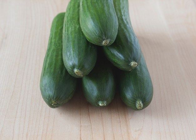 20140629_Pickles_IMG_7863_edited -1