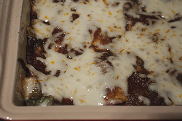 20150207_Black Bean Enchiladas_IMG_9028_edited-1