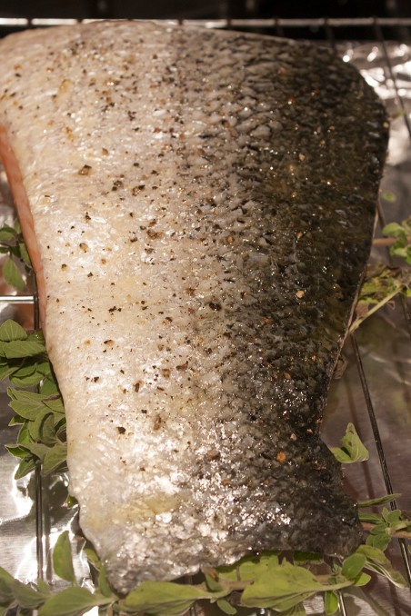 20150531_Oregano Salmon Salad_IMG_9411_edited-1